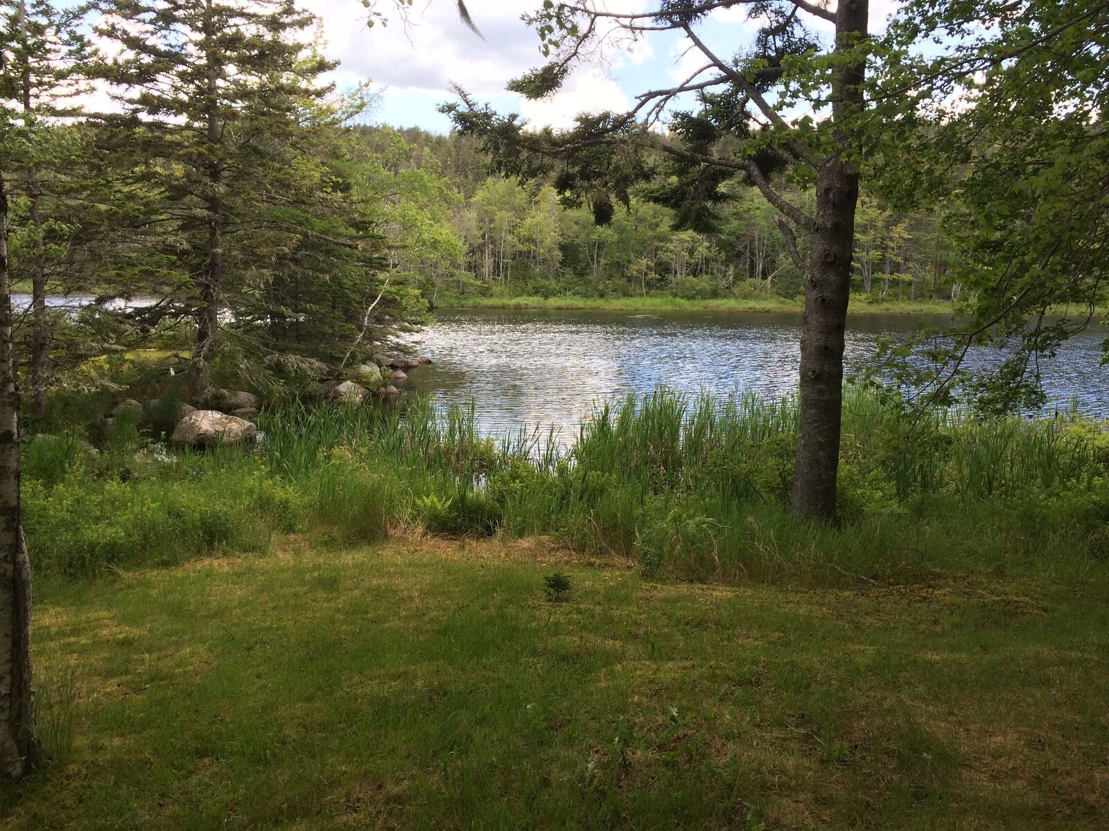 Back lawn leading to the lake